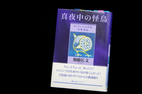 真夜中の怪鳥―ロンドンつぶや記・差異事記