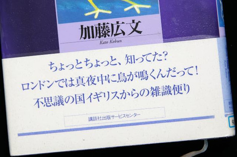 真夜中の怪鳥―ロンドンつぶや記・差異事記